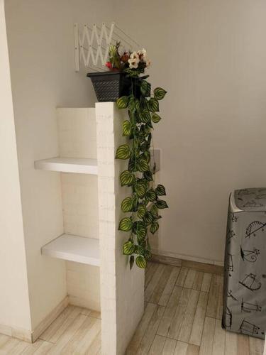 Apartamento San Fernando 202