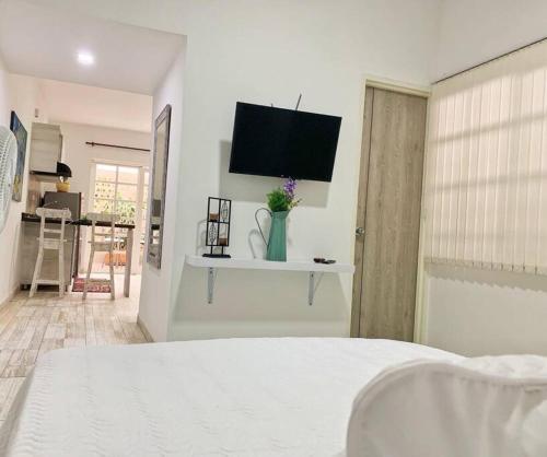 Apartamento San Fernando 102