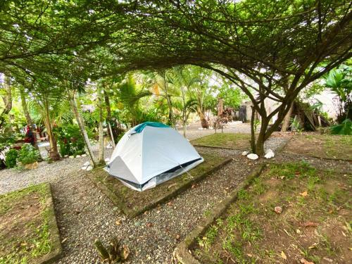 Hostal White Black Zona de Camping