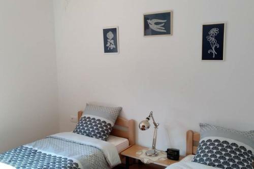 Apartamento Zrm Center