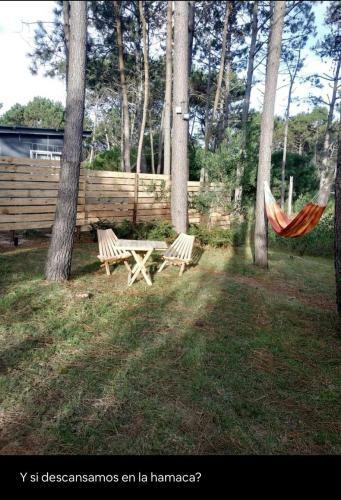 Nereo House, Tiny En El Bosque