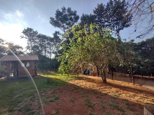 Fazenda Liberdade