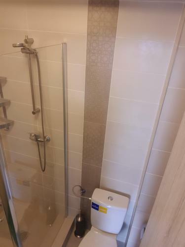 Apartament Golden Rose