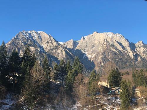Apartament Extralarge