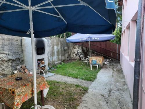 Hostal Vila Danlavi Busteni
