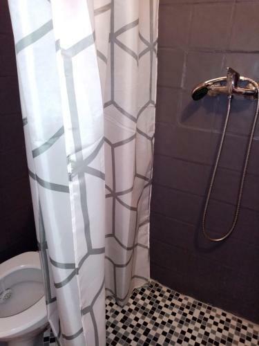 Hostal Vila Danlavi Busteni
