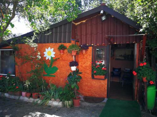 Hostal Pensiunea Marion