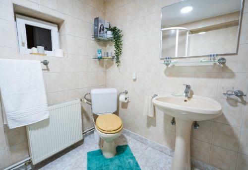 Villa Vila Vlad Tepes