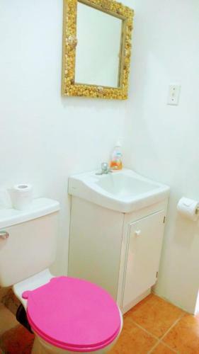 Apartamento Coconut Beach Caye Caulker