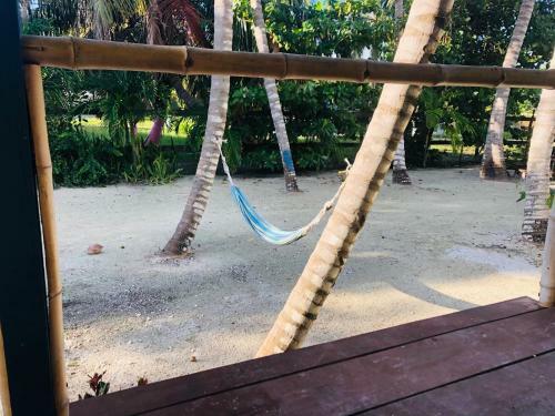 The Gumbo Limbo - Aria Kat Art Cabana