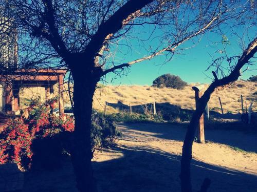 El Canto De La Ballena Loft 2