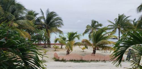 Hotel Caye Caulker Condos