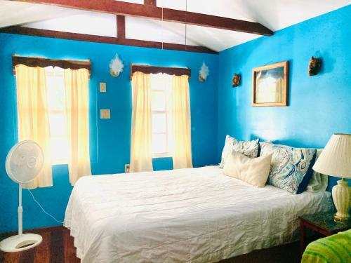 Hostal Jaguar Morning Star