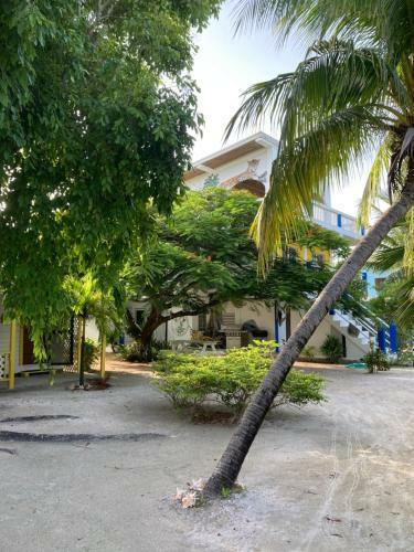 Hostal Jaguar Morning Star