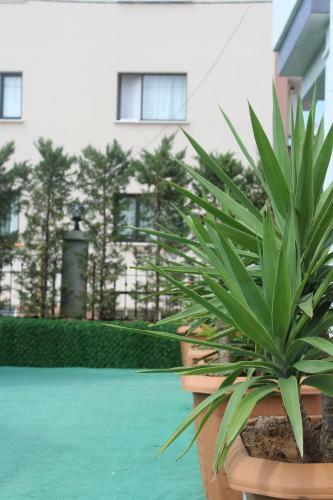 Apartamento Sun-ay Residence