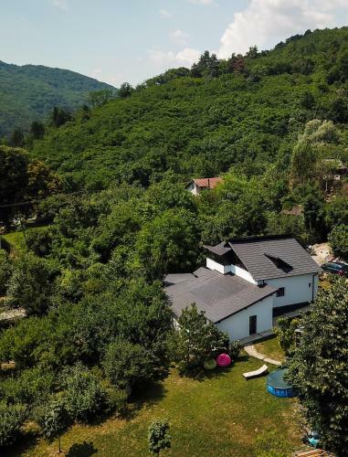 Hostal Upforest Villa
