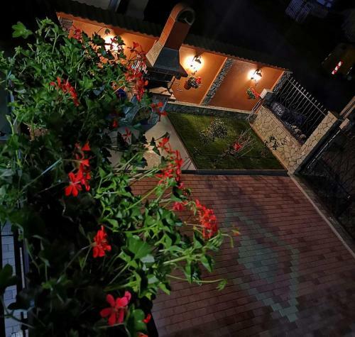 Hostal Casa Cizi