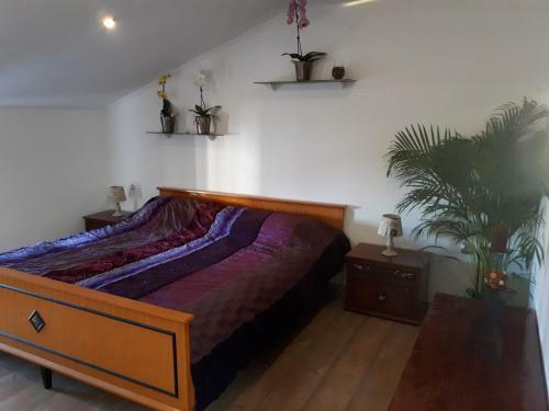 Apartma Marisol