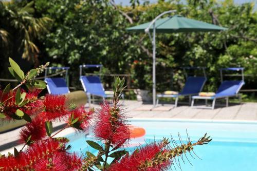 Apartments Klif Izola