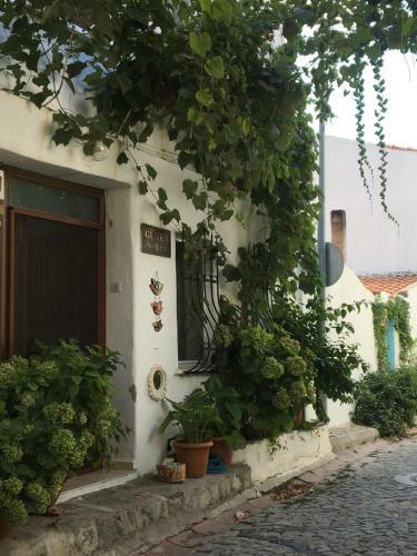 Gunes Pansiyon