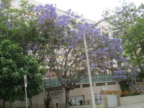 Apartamento Edificio Canoa