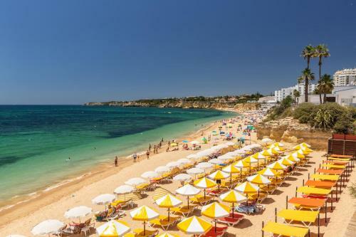 Luxury Beach Apartment At Arma��o de P�ra