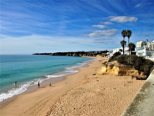 Beach & Pool Apartment - Perfect Harmony