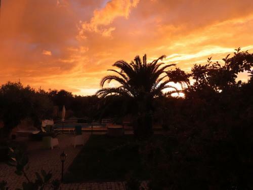 Agroturismo Monte Al�m Tejo