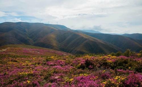 Arouca Passadi�os Alojamentos