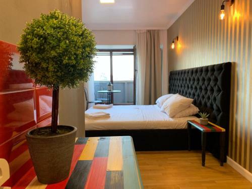 Apartamento Penthouse Complex