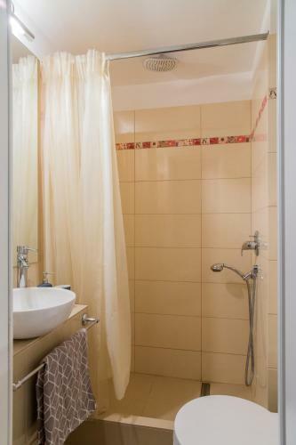 Spacious Downtown Apartment - Old Town