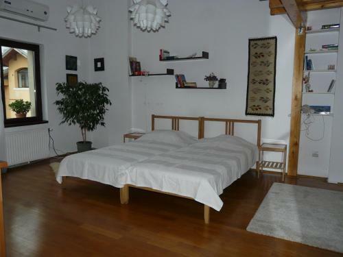 Hostal Cosy Studio 55sqm, Cotroceni Area
