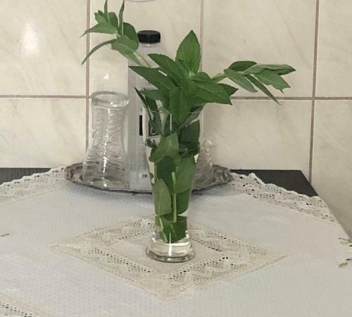 Apartamento Strada Nerva Traian 11 Garsoniera