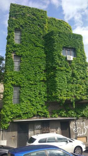 Apartamento Central Green House