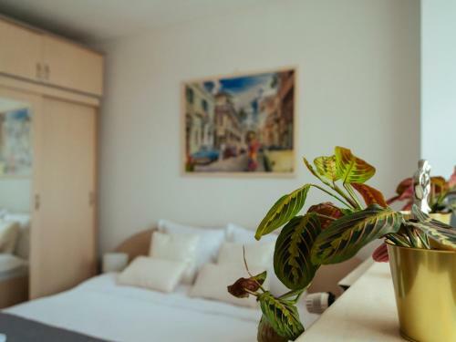 Cantemir Sunny Apartment