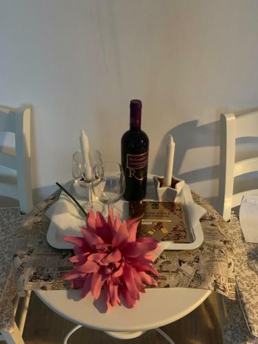 Beautiful Greenfield Apartment