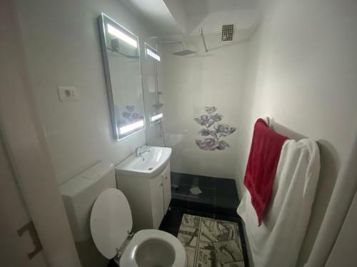 Apartamento Calinescu Iulia