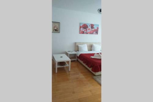 Apartamento Unirii Studio Old Center