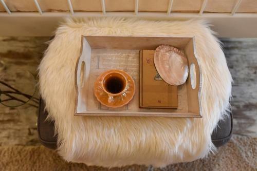 Apartamento Purrfect & Dreamy - The Special Studio