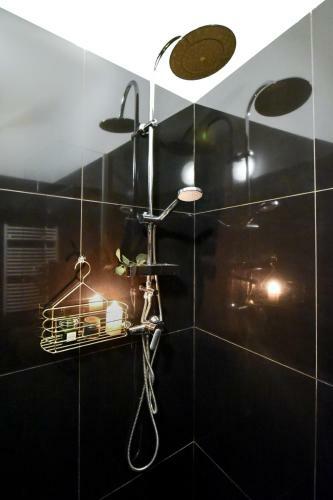 The Brancovanian Apartment - Cismigiu Park