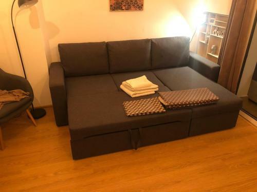 Apartament Ultracentral, Universitate