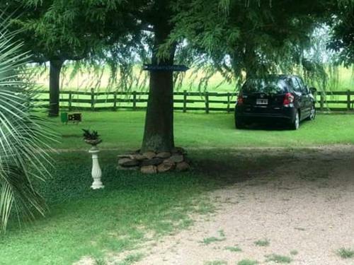 Estilo Campo Juanico