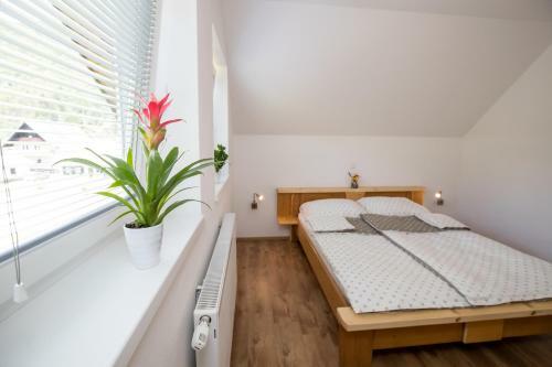 Trisa Apartments
