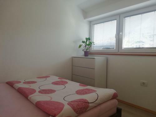 Apartma Ana