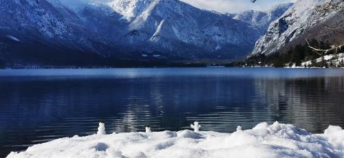 Apartments Bohinjc