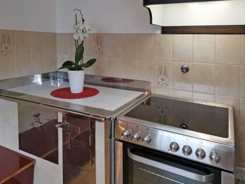 Apartment V&n, Lake Bohinj