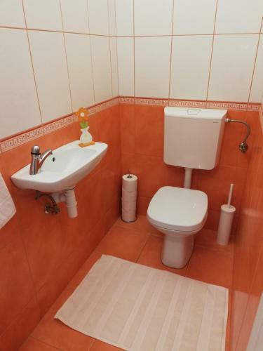 Apartma Vojvoda