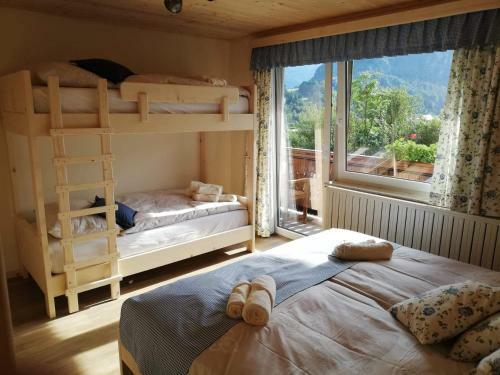 Apartmaji Pavc