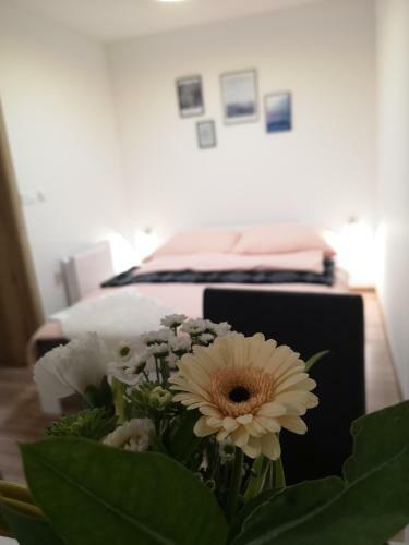 Alpine Joy Apartments