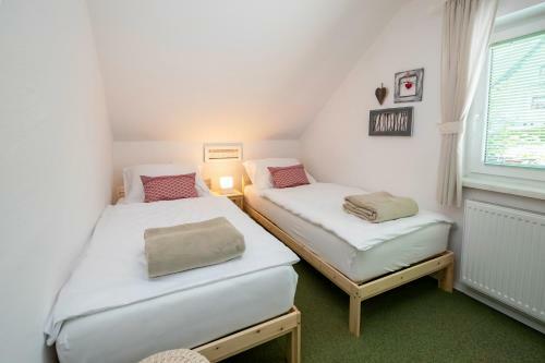 Apartmaji Rauter